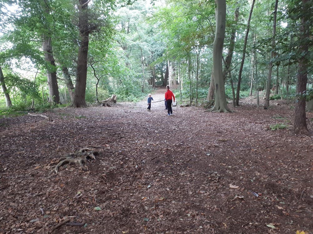 Erlebnisraum Wald